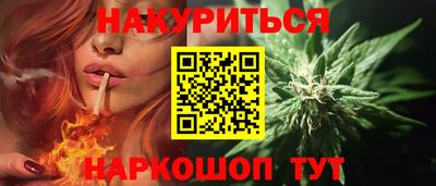крисы Бийск