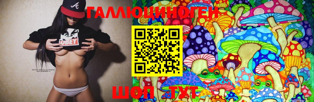 Галлюциногенные грибы прущие грибы Ипатово